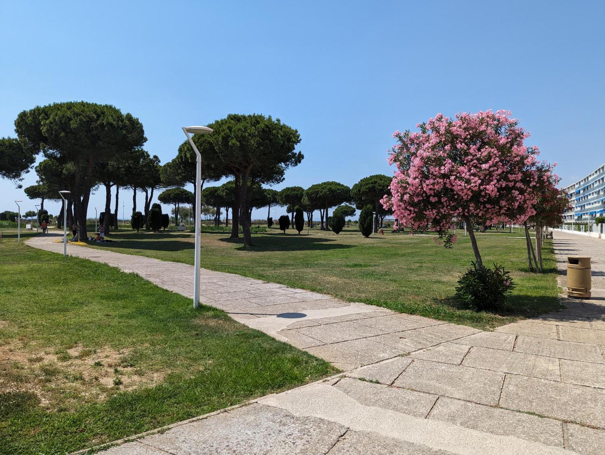 Sol-Y-Days Mathilde, Agreable Appartement En Rez-De-Jardin Avec Parking Et Un Acces Direct A La Plage Le Grau-du-Roi Bagian luar foto